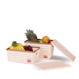 Nayasa Gloria 2 Pcs Set Basket | Rectangular shape | Medium 1 + Big 1 | Plastic Basket With Lid | Multipurpose Basket With Lid | Organizer Basket With Lid | Peach
