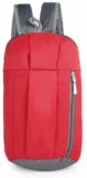 BigPlayer Red 20L Backpack for School, College, Travel, and Business – Versatile Bag for Men & Women