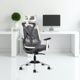 IAFA FURNITURE Ergolux Ergonomic Premium Office Chair| High Back Mesh Desk Chair with Adjustable Armrests & Lumbar Support | Tilt Lock Mechanism | Comfortable & Breathable (Grey)