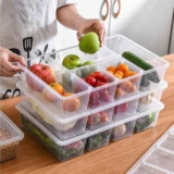 TEX-RO Fridge Storage Boxes, Fridge Organizer With 5 Compartment Fridge Organizer Keeps Fruits, Vegetables, Meat, Fish Fresh Longer (polypropylene)