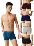 Men’s Semi Long Underwear | 100% Super Combed Cotton | Breathable, Light & Comfortable Lux Underwear | Pack of 5 (Color May Vary)
