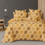 BSB HOME Premium Cloud Cotton Fitted Bedsheets with 2 Pillow Covers for King Bed | 300-320 TC | Size 78×72+10 Inches | Alomods | Soft, Durable and Deep Pocket 360 Fitted Sheet