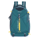 Wesley Spartan Unisex Travel Hiking Laptop Bag fits Upto 17.3 inch with Raincover and Internal Organiser Backpack Rucksack College Backpack