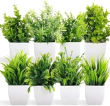 HARSHIV MART Artificial Plants with Pot| Multi Variety | No Maintenance | Durable Plastic| Home Decor | Dimensions: 5 cm X 13 cm (Pack of 6)