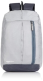 amazon basics – Mini Backpack for Outdoor Use (12 l) (Metallic Grey)